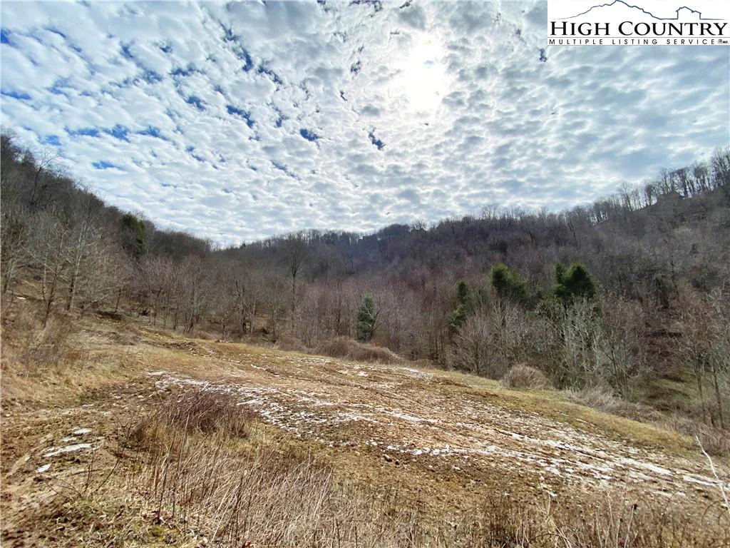 Image number 4 for the current listing