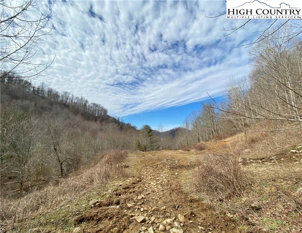 Image number 6 for the current listing