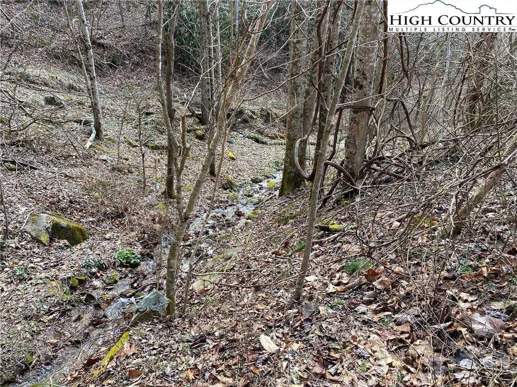 Image number 8 for the current listing