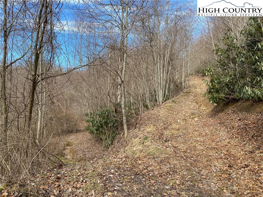 Image number 9 for the current listing