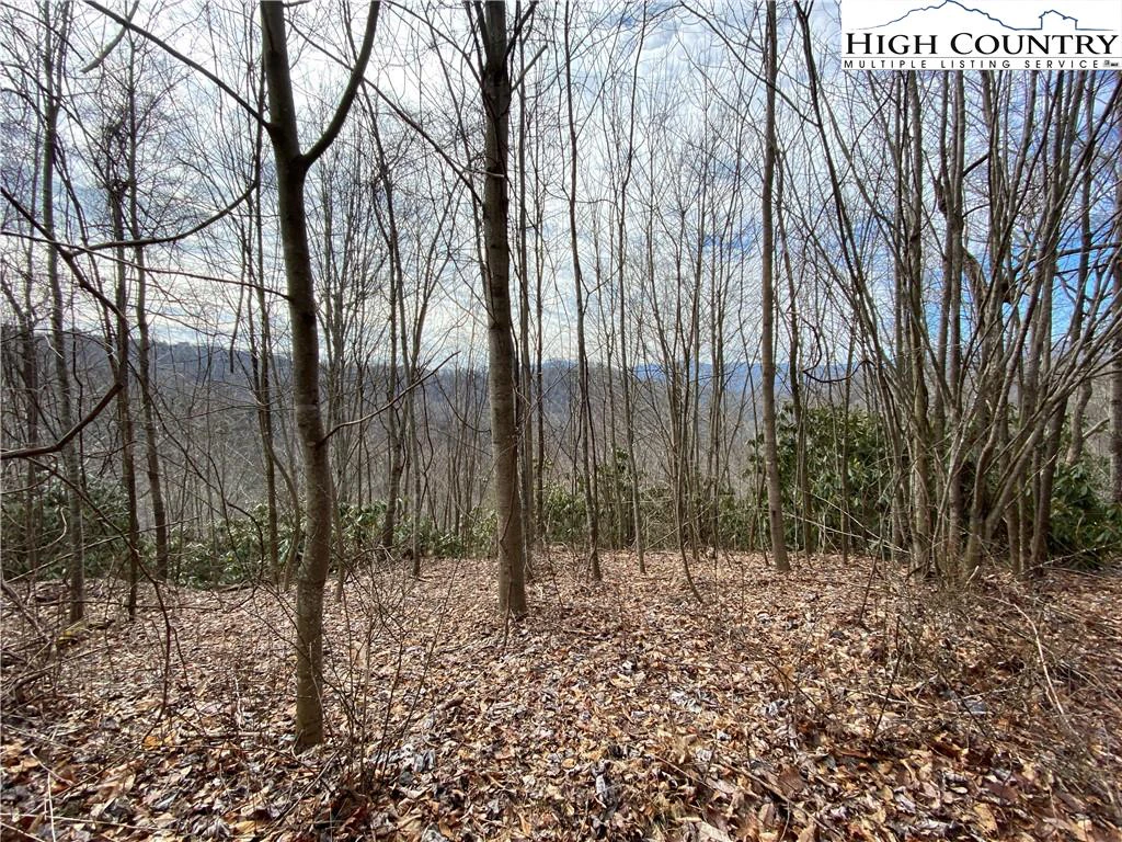 Image number 11 for the current listing