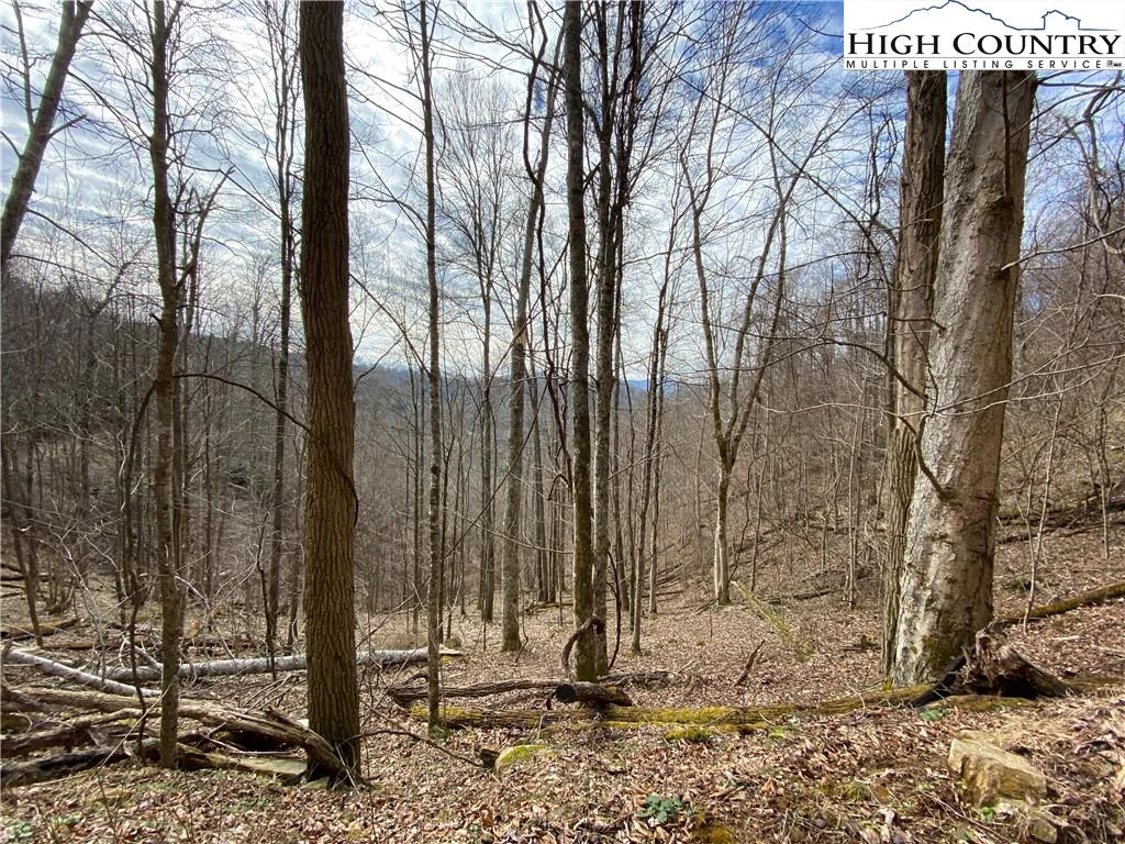 Image number 12 for the current listing