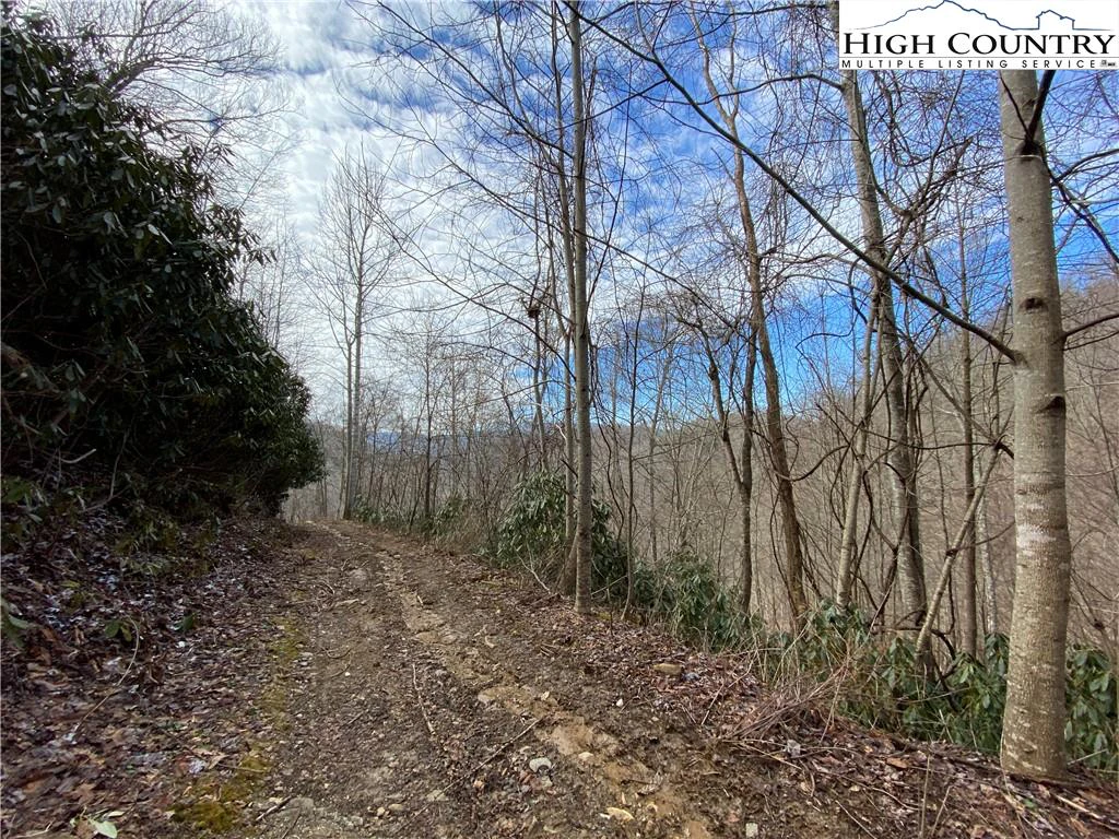 Image number 2 for the current listing