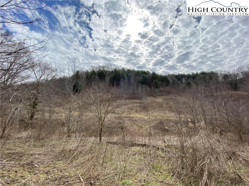 Image number 16 for the current listing