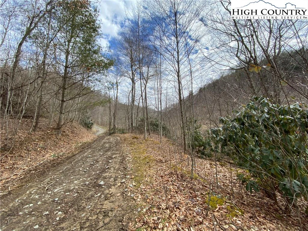 Image number 17 for the current listing