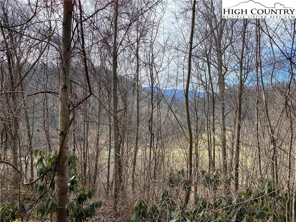 Image number 18 for the current listing
