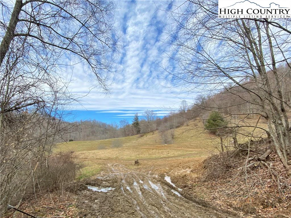 Image number 19 for the current listing
