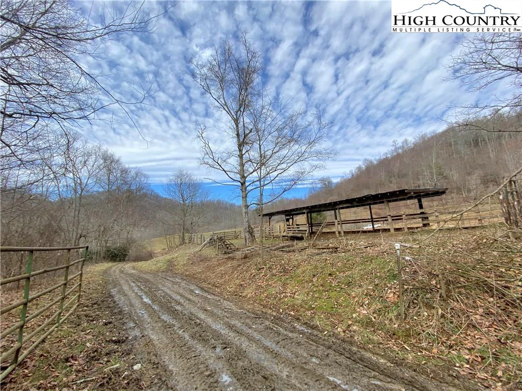 Image number 20 for the current listing
