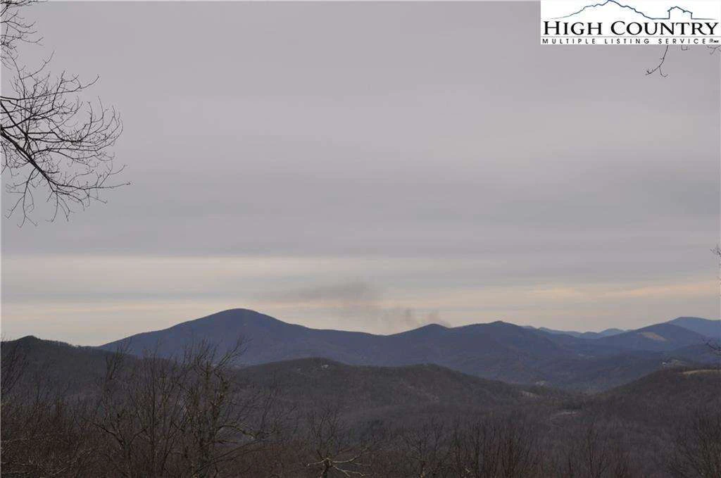 Image number 1 for the current listing