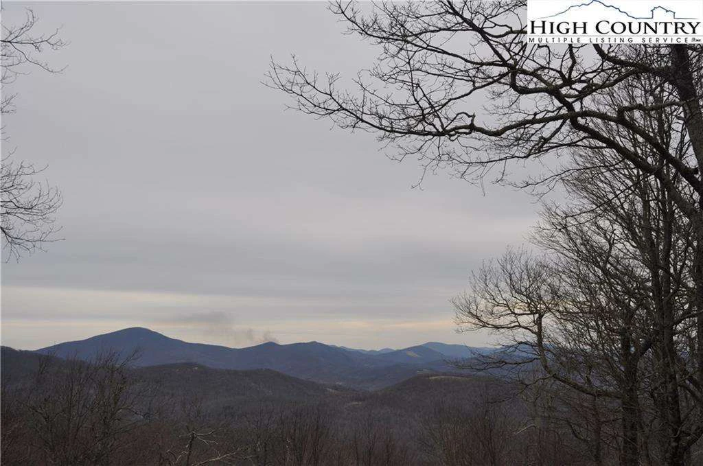 Image number 4 for the current listing