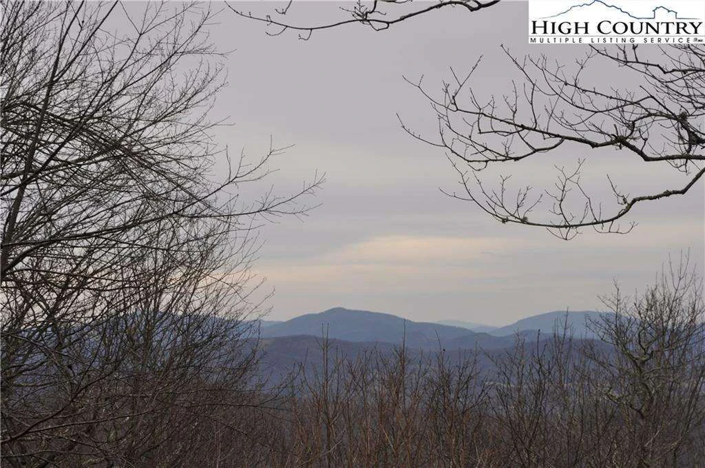 Image number 5 for the current listing