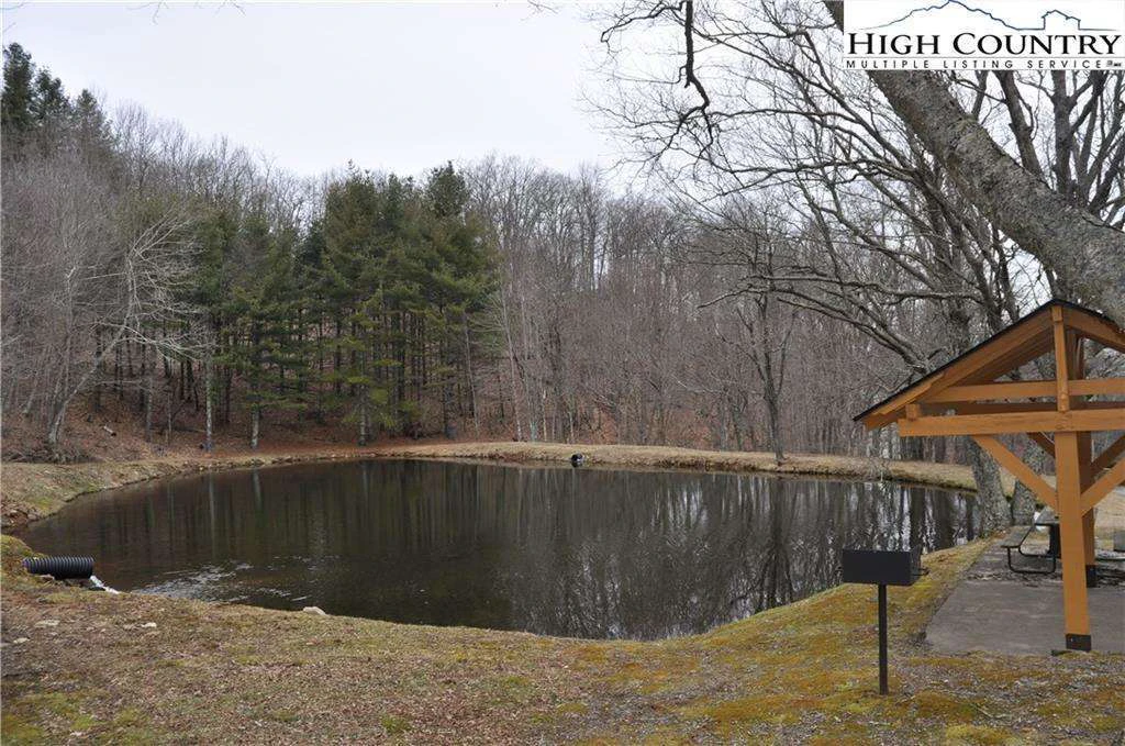 Image number 7 for the current listing