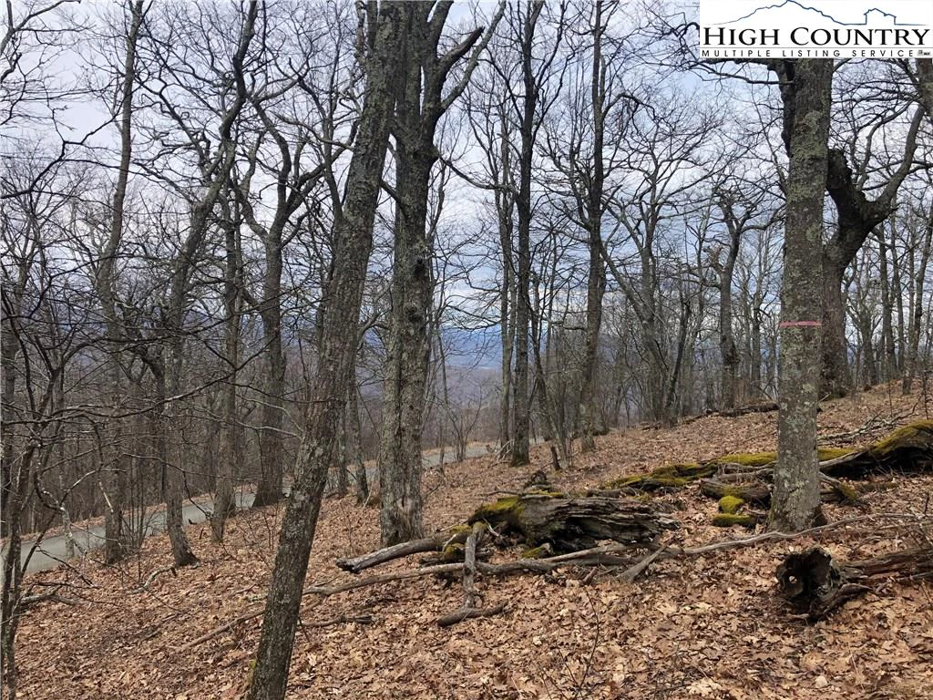 Image number 1 for the current listing