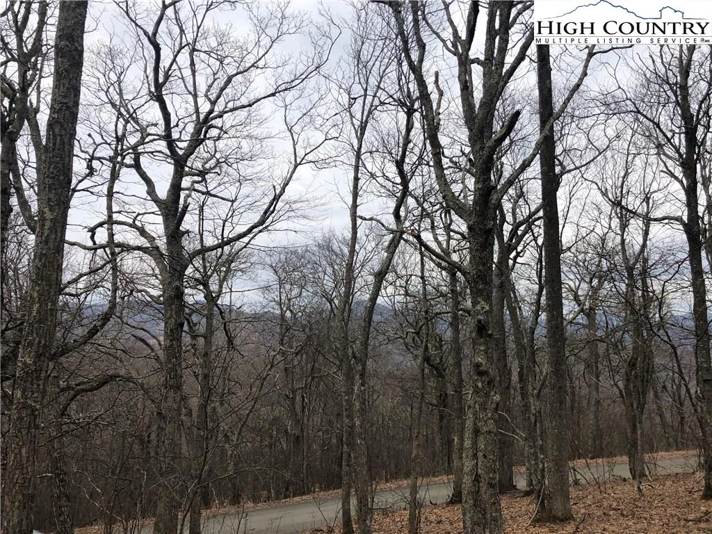 Image number 3 for the current listing