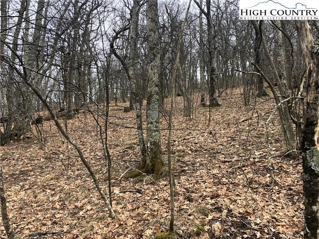 Image number 6 for the current listing