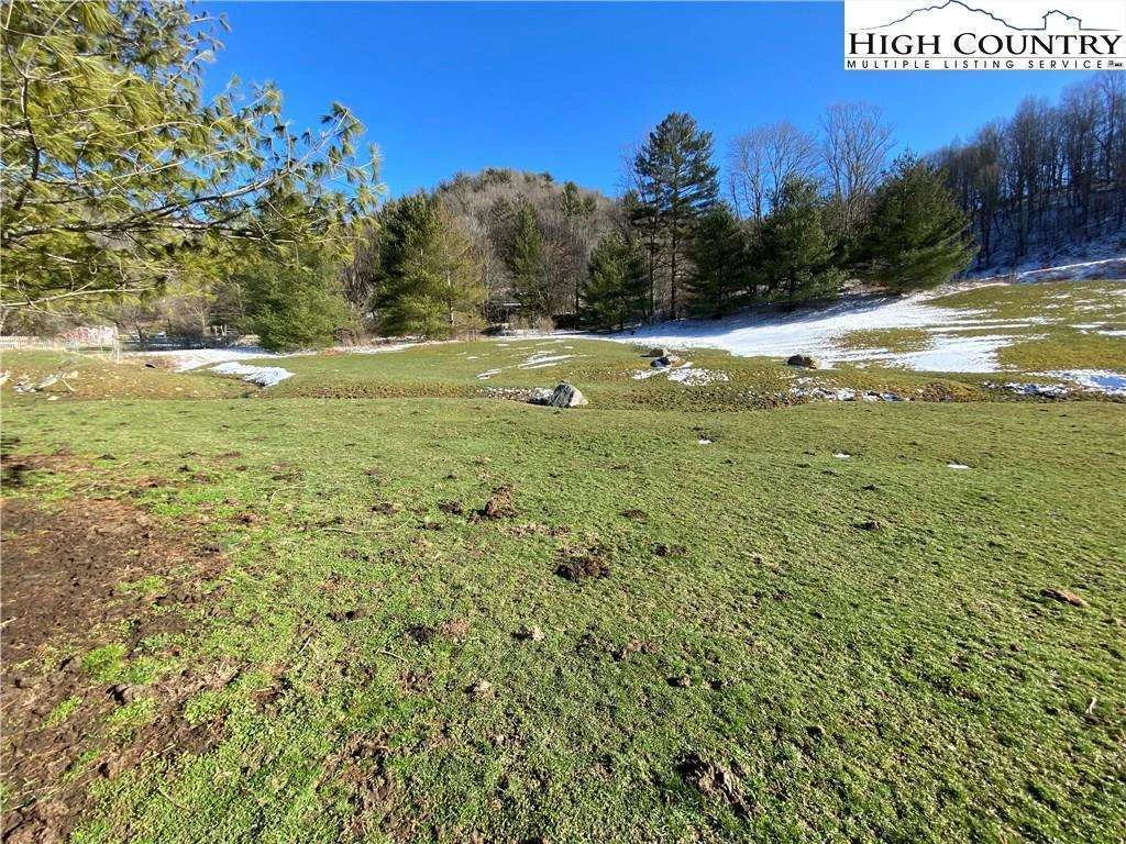 Image number 12 for the current listing