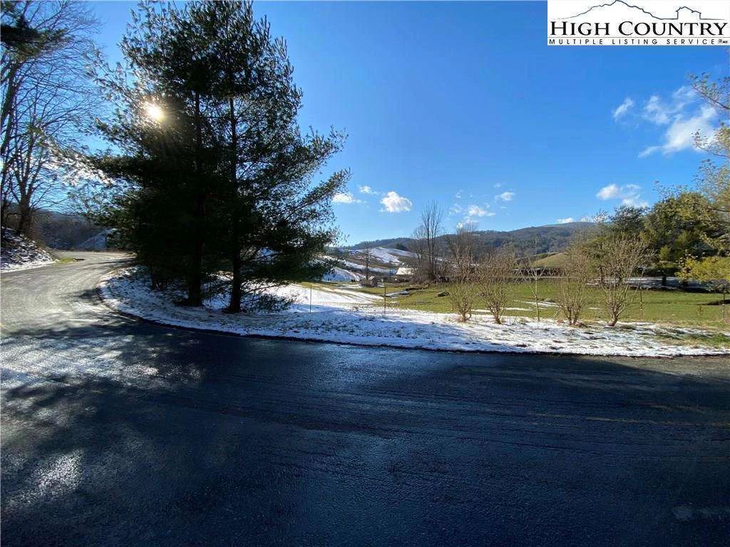 Image number 7 for the current listing
