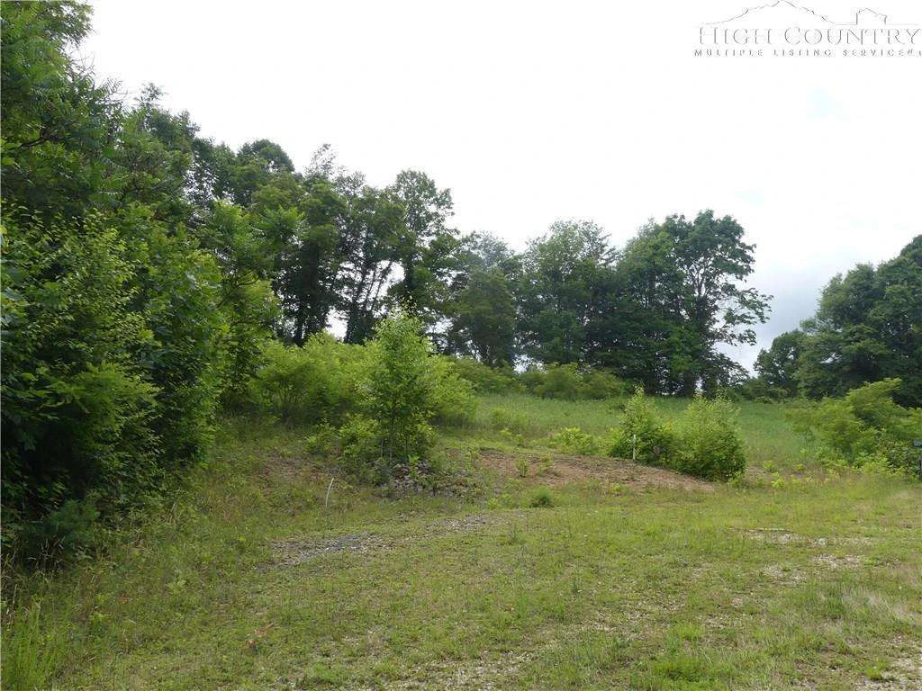 Image number 1 for the current listing