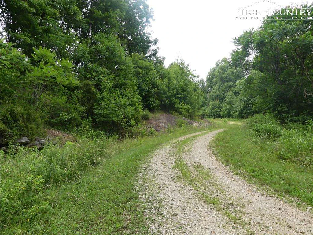 Image number 11 for the current listing