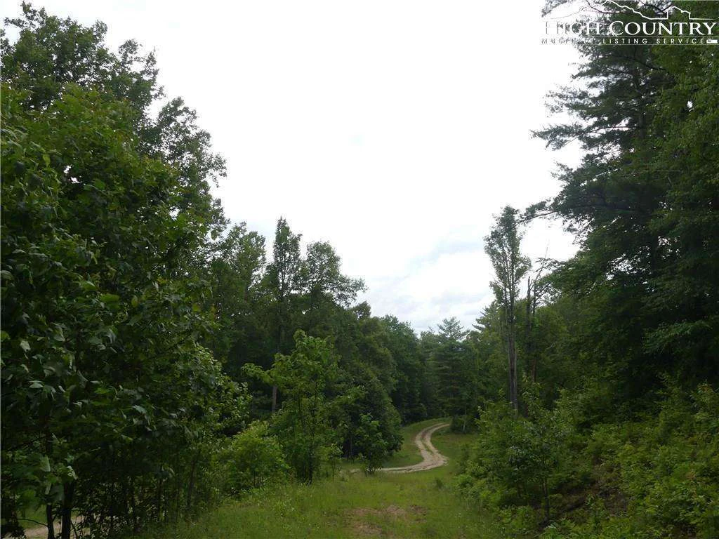 Image number 12 for the current listing
