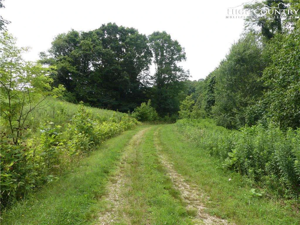 Image number 3 for the current listing