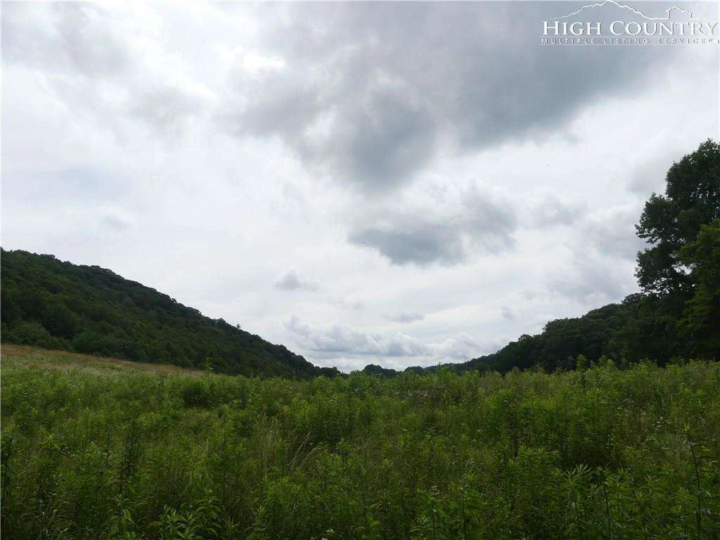 Image number 4 for the current listing
