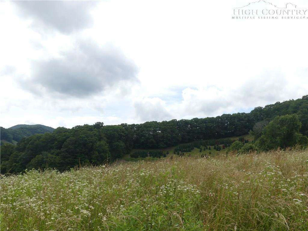 Image number 7 for the current listing