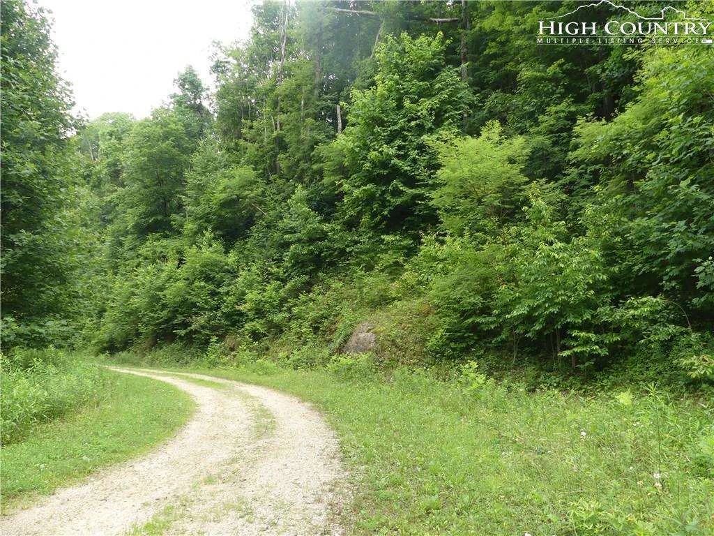 Image number 10 for the current listing