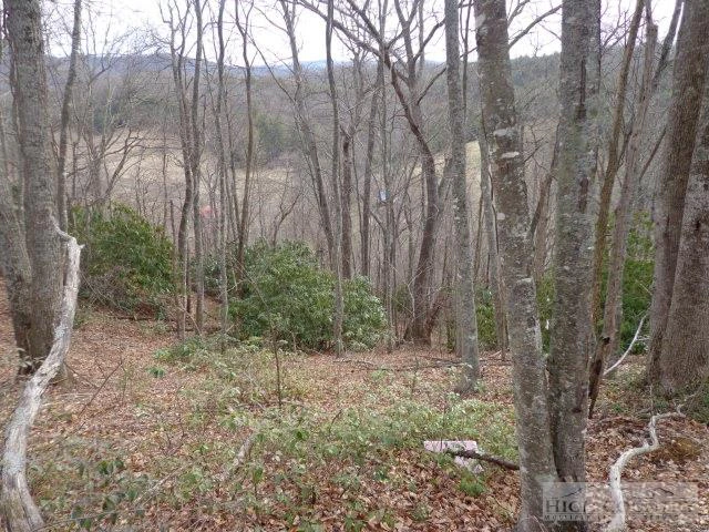 Image number 3 for the current listing
