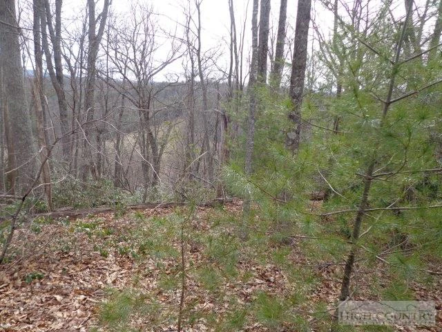 Image number 4 for the current listing
