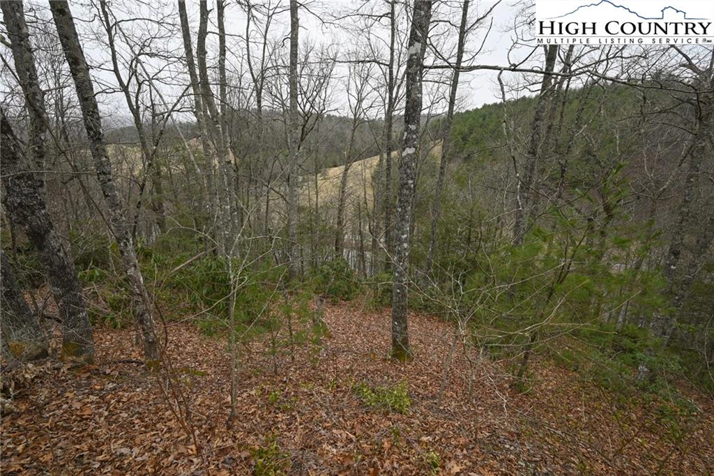Image number 5 for the current listing