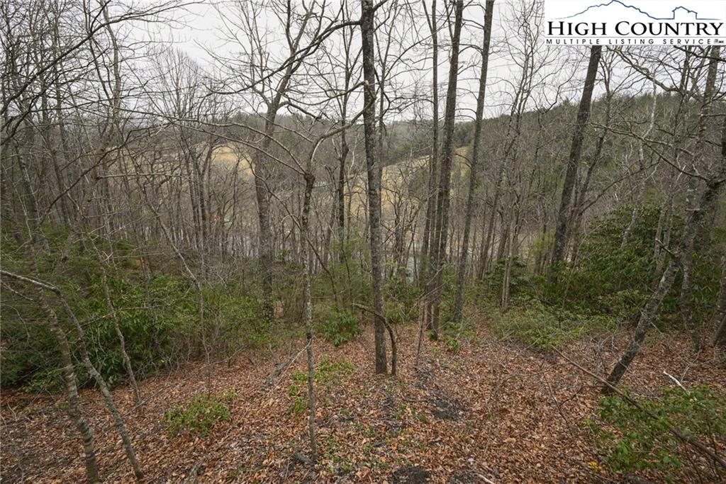 Image number 6 for the current listing