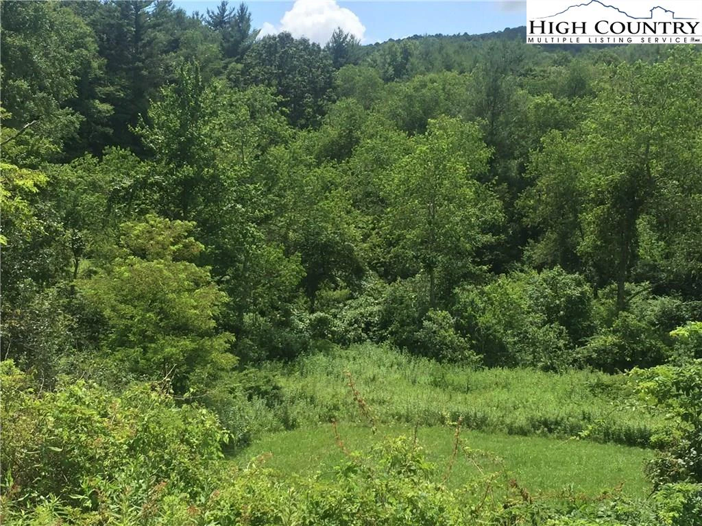 Image number 1 for the current listing