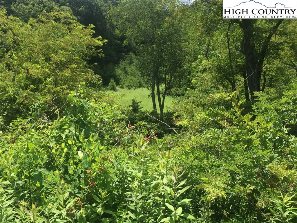 Image number 13 for the current listing