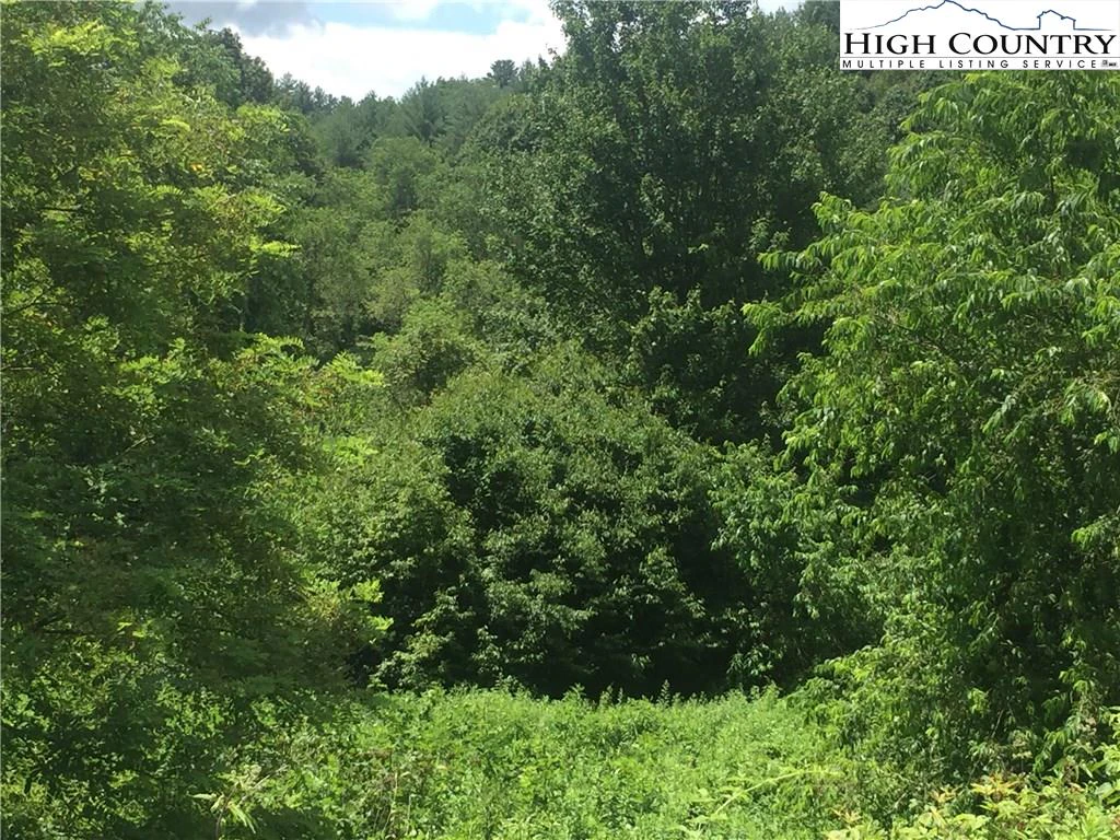 Image number 12 for the current listing