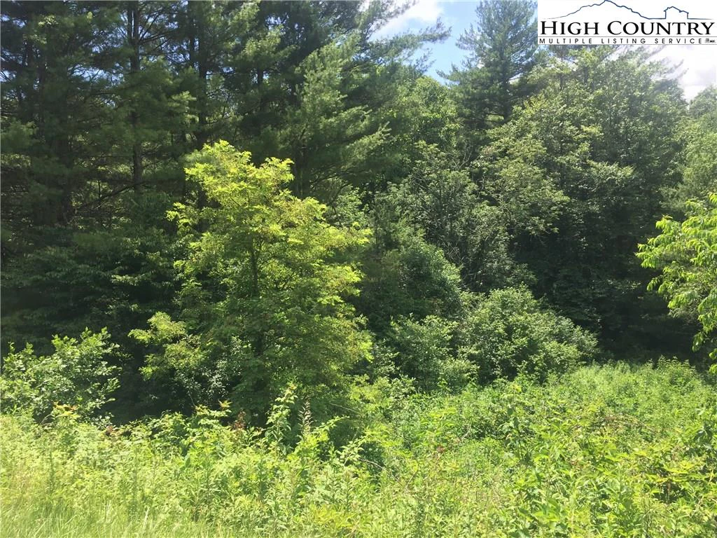 Image number 11 for the current listing