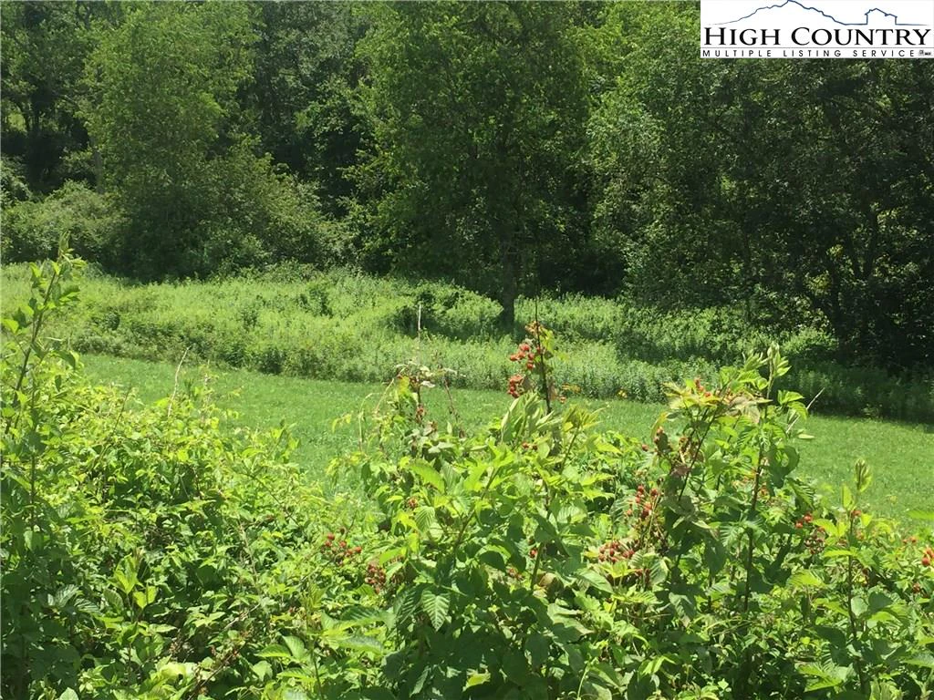 Image number 18 for the current listing