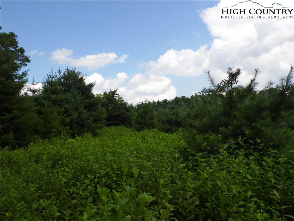 Image number 1 for the current listing
