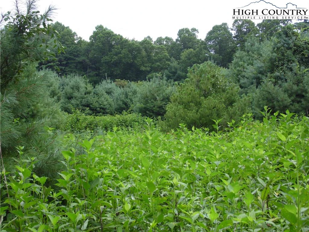 Image number 11 for the current listing