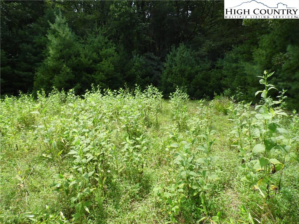 Image number 12 for the current listing