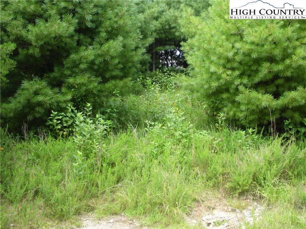 Image number 14 for the current listing