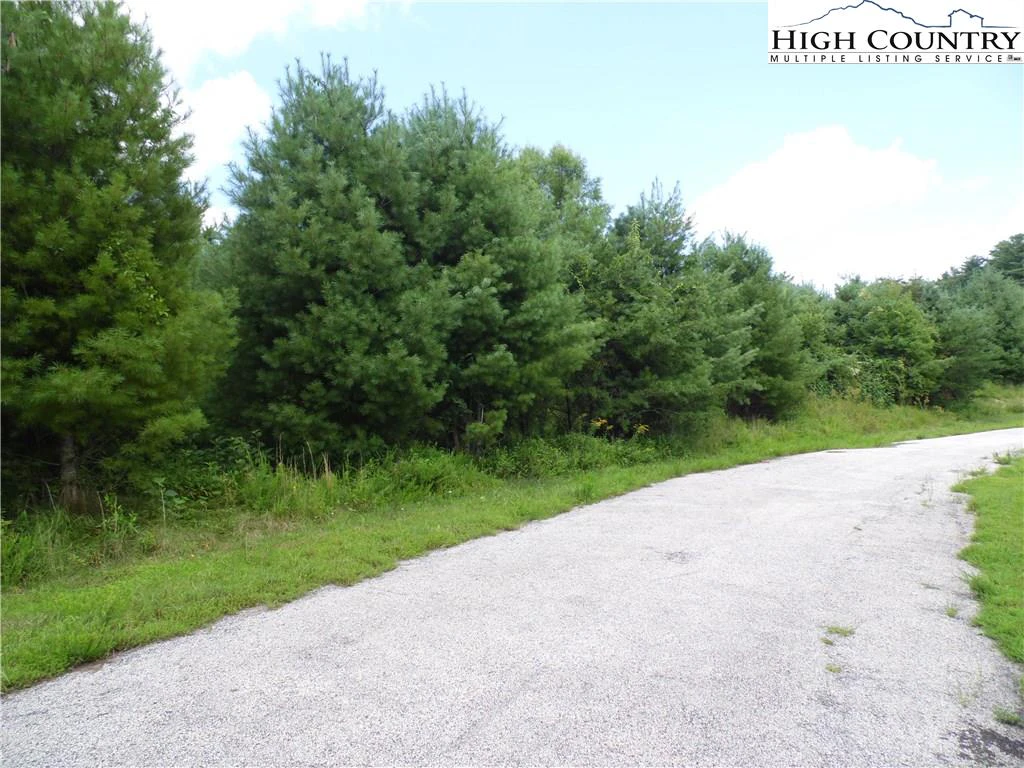 Image number 15 for the current listing