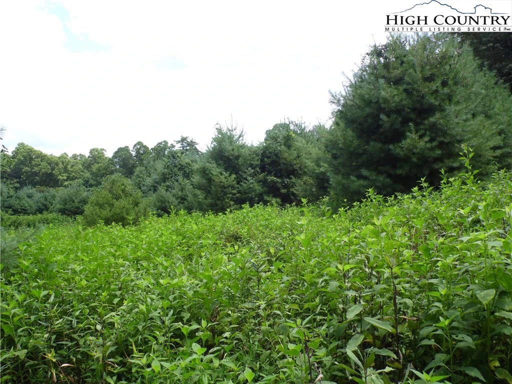 Image number 3 for the current listing