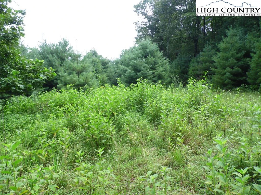 Image number 5 for the current listing