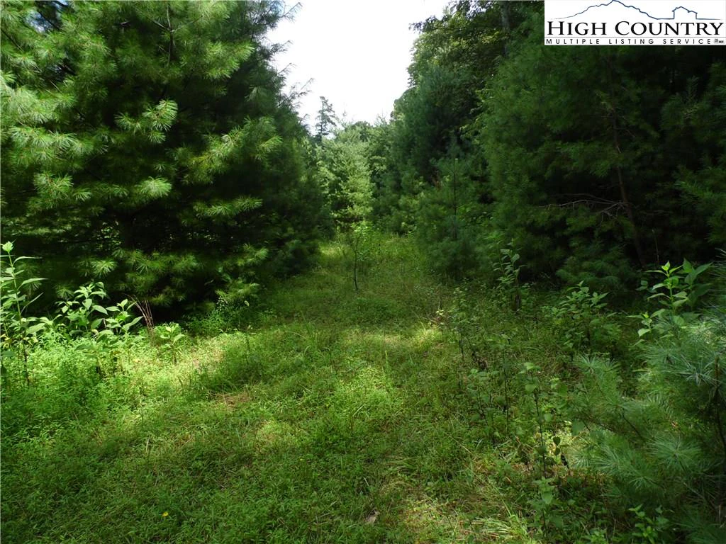 Image number 6 for the current listing