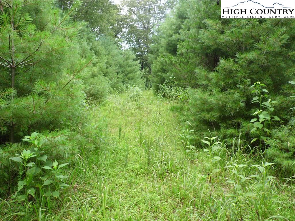 Image number 7 for the current listing