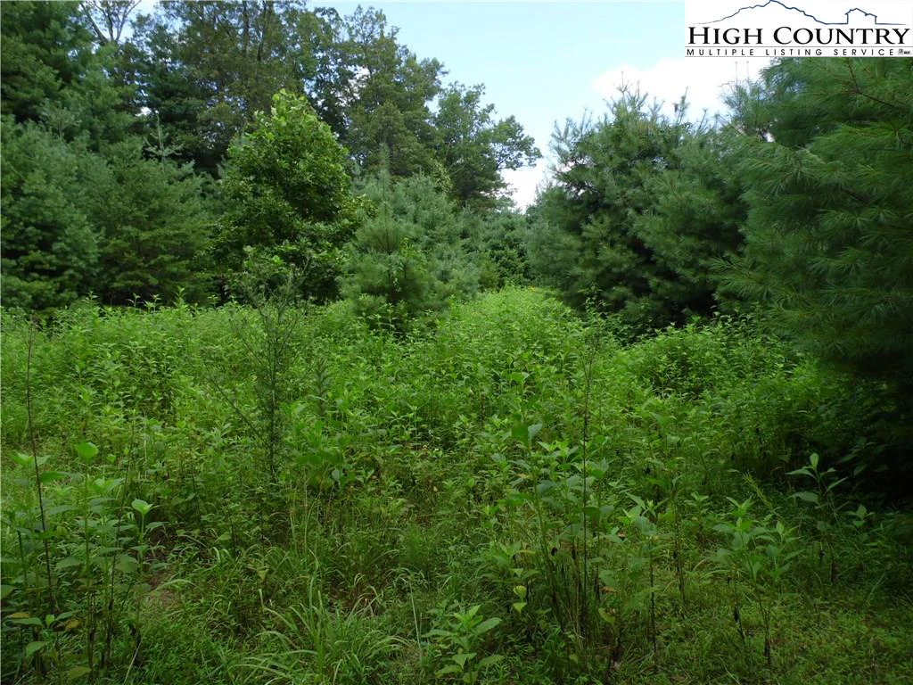 Image number 8 for the current listing