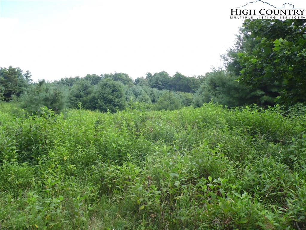 Image number 10 for the current listing