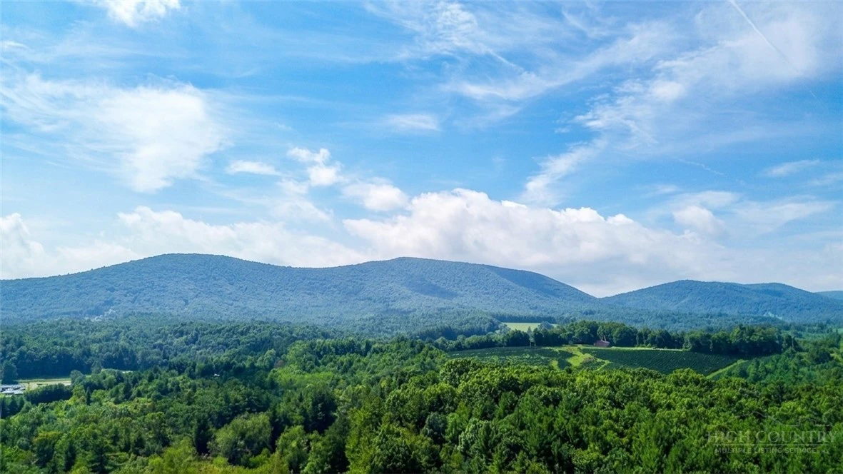 Image number 2 for the current listing