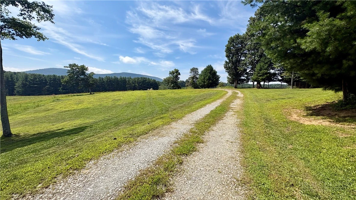 Image number 7 for the current listing